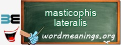 WordMeaning blackboard for masticophis lateralis